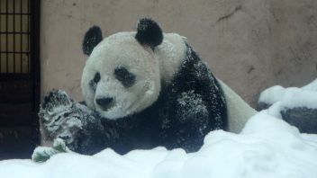 Навигатор. Новости. Выпуск 508