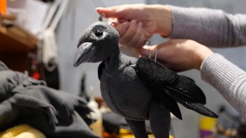 Навигатор. Новости. Выпуск 515