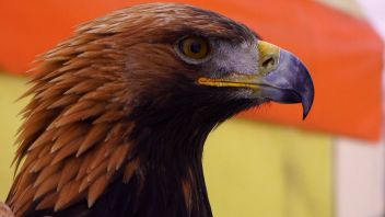 Навигатор. Новости. Выпуск 518