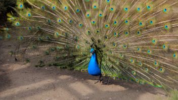 Навигатор. Новости. Выпуск 537