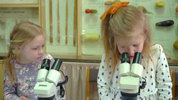 Навигатор. Новости. Выпуск 538