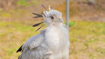 Навигатор. Новости. Выпуск 540