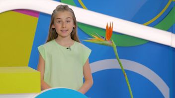 Навигатор. Новости. Выпуск 556