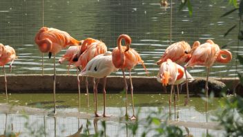 Навигатор. Новости. Выпуск 564