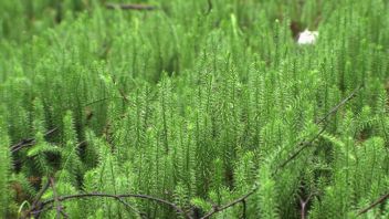 Навигатор. Новости. Выпуск 566