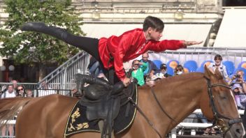 Навигатор. Новости. Выпуск 568