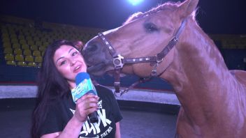 Навигатор. Новости. Выпуск 570