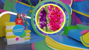 Навигатор. Новости. Выпуск 574