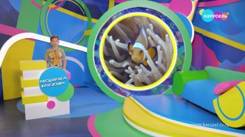 Навигатор. Новости. Выпуск 577