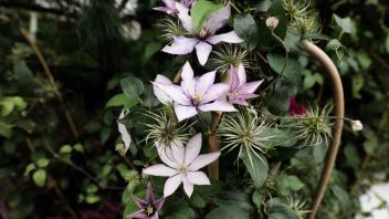 Навигатор. Новости. Выпуск 579