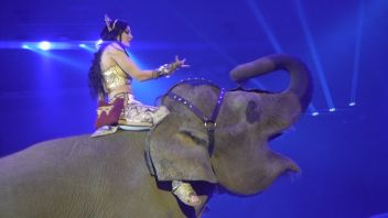 Навигатор. Новости. Выпуск 603