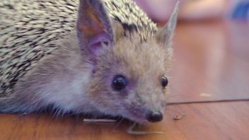 Навигатор. Новости. Выпуск 638