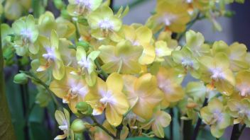 Навигатор. Новости. Выпуск 648