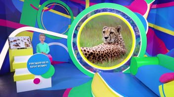 Навигатор. Новости. Выпуск 655