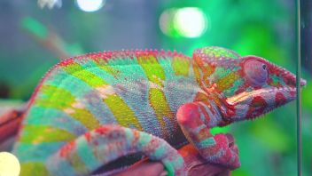 Навигатор. Новости. Выпуск 654