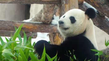 Навигатор. Новости. Выпуск 663