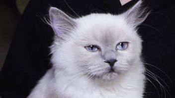 Навигатор. Новости. Выпуск 664