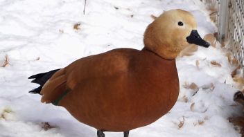 Навигатор. Новости. Выпуск 666