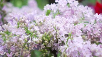 Навигатор. Новости. Выпуск 669