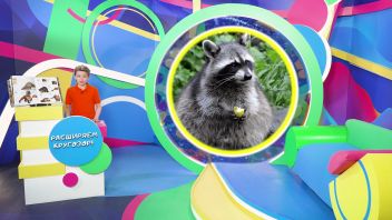 Навигатор. Новости. Выпуск 676