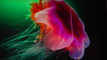 Навигатор. Новости. Выпуск 678