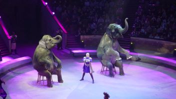 Навигатор. Новости. Выпуск 681