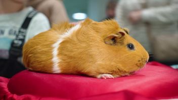 Навигатор. Новости. Выпуск 691