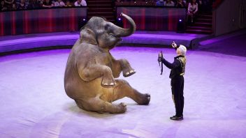 Навигатор. Новости. Выпуск 695