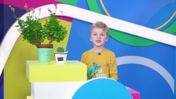 Навигатор. Новости. Выпуск 696