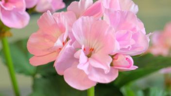 Навигатор. Новости. Выпуск 697