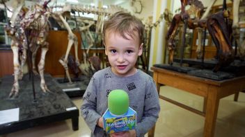 Навигатор. Новости. Выпуск 704