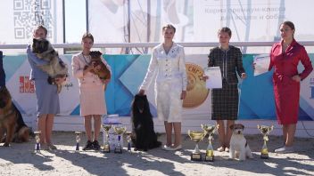 Навигатор. Новости. Выпуск 712