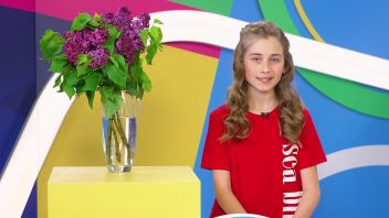 Навигатор. Новости. Выпуск 714