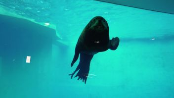 Навигатор. Новости. Выпуск 751