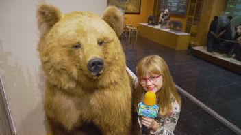 Навигатор. Новости. Выпуск 753