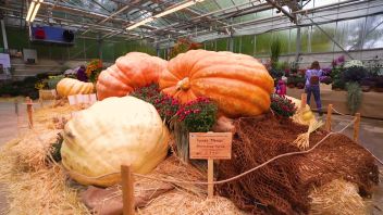 Навигатор. Новости. Выпуск 754