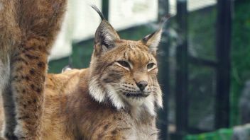 Навигатор. Новости. Выпуск 755