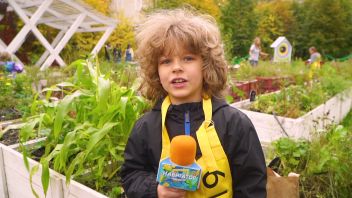 Навигатор. Новости. Выпуск 760