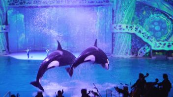 Навигатор. Новости. Выпуск 763