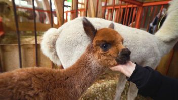 Навигатор. Новости. Выпуск 766