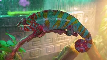 Навигатор. Новости. Выпуск 770