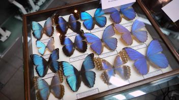 Навигатор. Новости. Выпуск 775