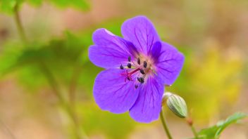 Навигатор. Новости. Выпуск 777