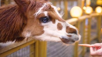 Навигатор. Новости. Выпуск 779