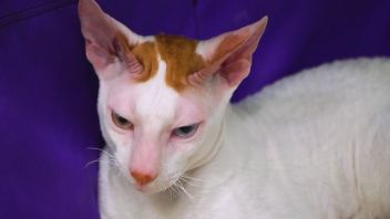 Навигатор. Новости. Выпуск 783