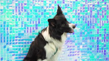 Навигатор. Новости. Выпуск 796