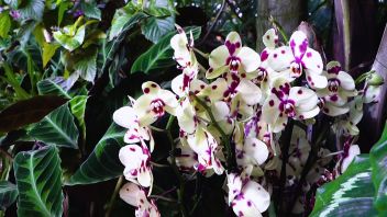 Навигатор. Новости. Выпуск 816