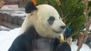 Навигатор. Новости. Выпуск 818