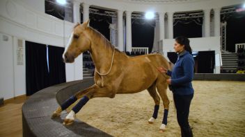 Навигатор. Новости. Выпуск 821