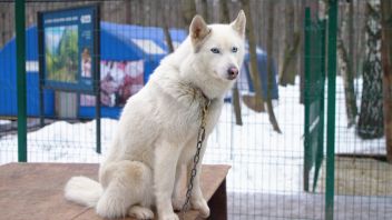 Навигатор. Новости. Выпуск 822